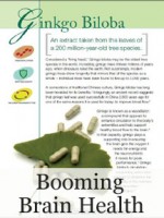 Booming Brain Health: Gingko